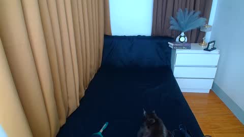 Snapshot of arabella_califa chatting on 9, 3, 2025 ARABELLA online show from 9, 3, 2025