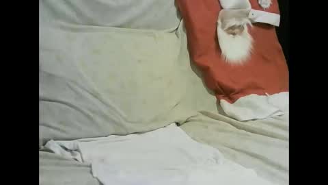 arabtrans2025 online show from 17, 1, 2025