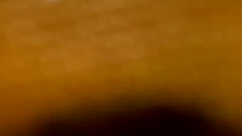Aranza online show from 16, 7, 2026