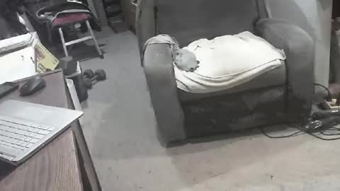 Snapshot of arealshowoff chatting on 22, 3, 2026 arealshowoff online show from 22, 3, 2026