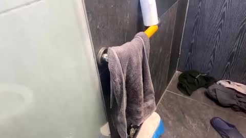 argentoscorpion online show from 3, 4, 2026