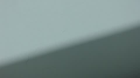 ...Ariana... online show from 20, 10, 2025