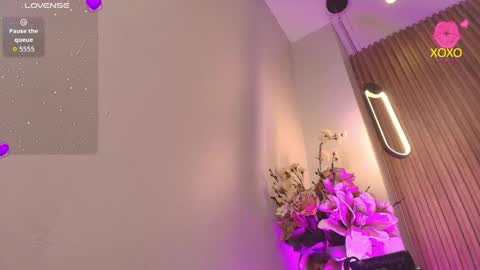Ariana online show from 29, 5, 2026