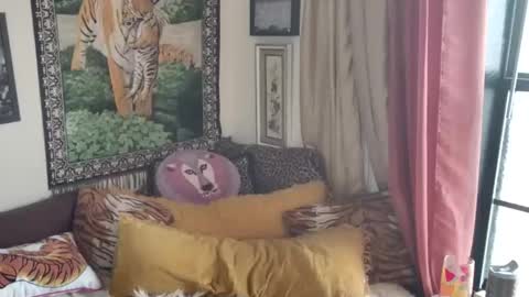 Arielle Ari online show from 16, 3, 2026