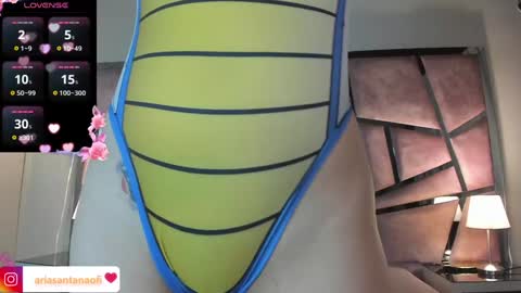 Snapshot of arisantana chatting on 28, 12, 2024 Aria online show from 28, 12, 2024