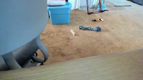 Snapshot of armalite16 chatting on 12, 10, 2025 armalite16 online show from 12, 10, 2025