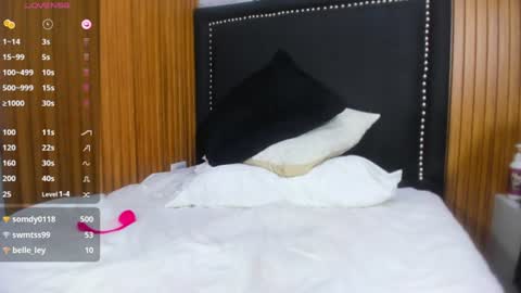  ARYA  online show from 3, 8, 2026