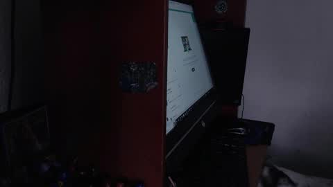 Snapshot of ash_v1 chatting on 11, 2, 2025 Ash online show from 11, 2, 2025