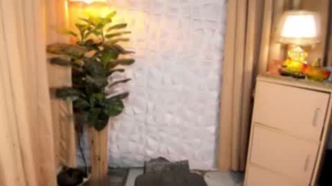 CHESKA online show from 12, 9, 2025