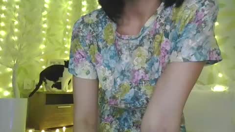 Alice online show from 30, 12, 2024