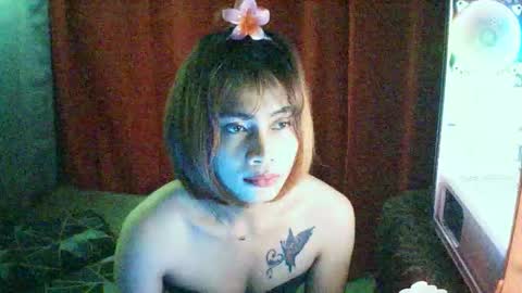 asiansugarbunny online show from 26, 4, 2026