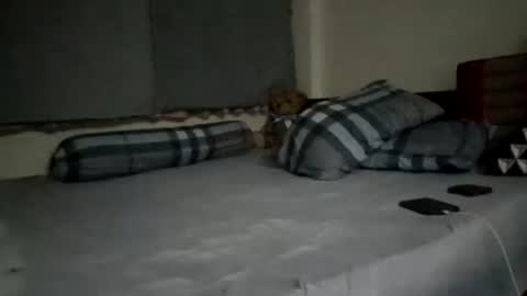 Snapshot of asianthai chatting on 21, 9, 2025 asianthai online show from 21, 9, 2025