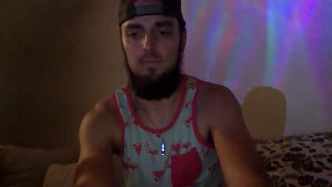 Audi online show from 8, 3, 2026