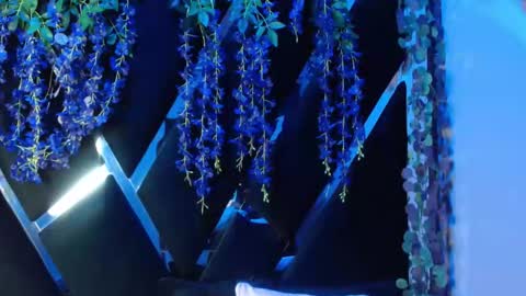 aurora online show from 18, 9, 2025