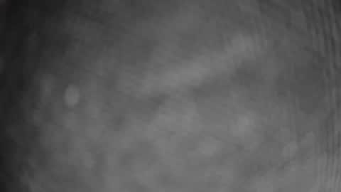 Snapshot of ausguy12excite chatting on 12, 2, 2026 ausguy12excite online show from 12, 2, 2026