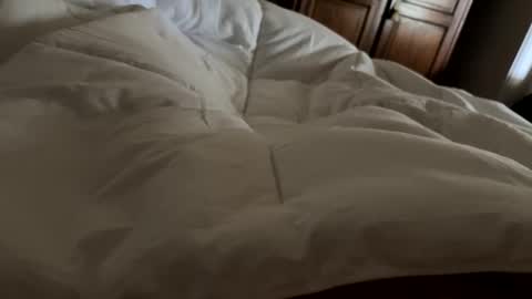 Snapshot of aussieguy1584 chatting on 21, 2, 2026 aussieguy1584 online show from 21, 2, 2026