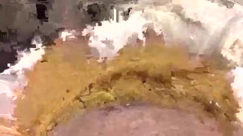 Snapshot of aussieguy1584 chatting on 22, 3, 2026 aussieguy1584 online show from 22, 3, 2026