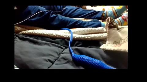 Senior Agua online show from 4, 12, 2024