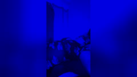 averyjay3 online show from 6, 5, 2026