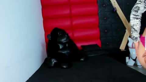 Snapshot of avi_thomsonn chatting on 13, 3, 2026 avi_thomsonn online show from 13, 3, 2026