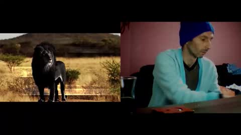 zer online show from 10, 11, 2025