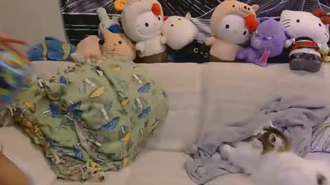 aznp1ea5er online show from 19, 2, 2026