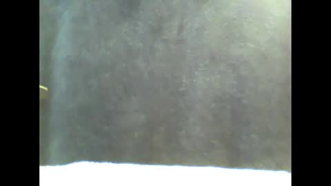 b1gg9inch online show from 20, 1, 2025