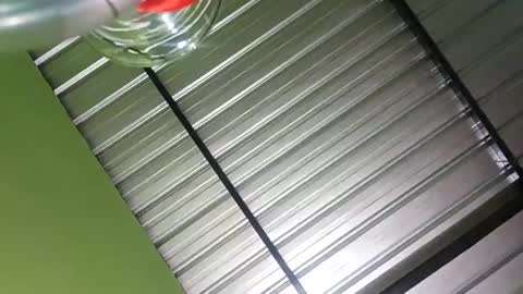 baby_dancer_21 online show from 7, 12, 2024