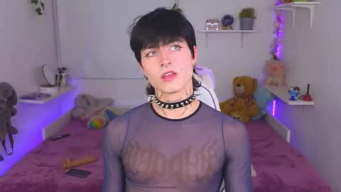  Dani  online show from 14, 11, 2025