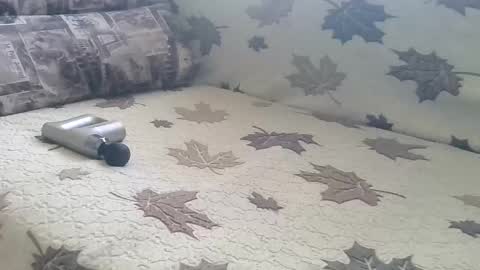 babymom1 online show from 9, 3, 2025