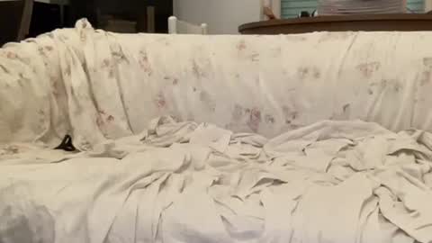 bach online show from 12, 2, 2025