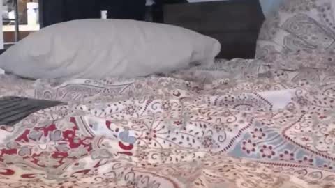 baker305 online show from 29, 9, 2025