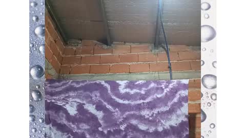 Ezequiel online show from 1, 2, 2025