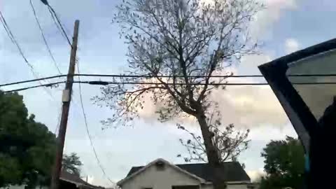 BeenLit online show from 2, 4, 2026