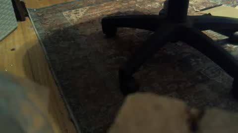 bartender3127 online show from 16, 1, 2025