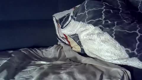 Snapshot of bbc_highness chatting on 29, 3, 2026 bbc_highness online show from 29, 3, 2026