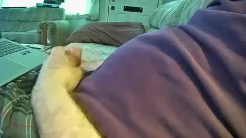 Snapshot of bcema2 chatting on 26, 9, 2025 bcema2 online show from 26, 9, 2025