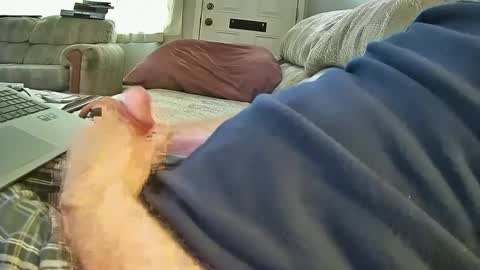 Snapshot of bcema2 chatting on 8, 10, 2025 bcema2 online show from 8, 10, 2025