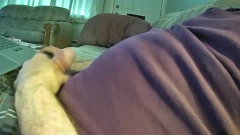 Snapshot of bcema2 chatting on 24, 10, 2025 bcema2 online show from 24, 10, 2025