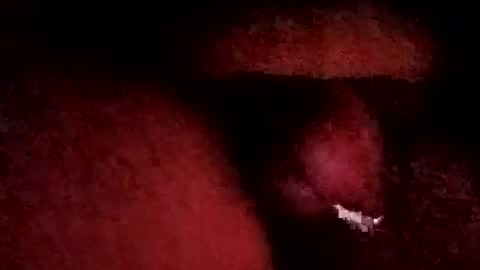 Snapshot of bcfalcon69 chatting on 19, 1, 2026 bcfalcon69 online show from 19, 1, 2026