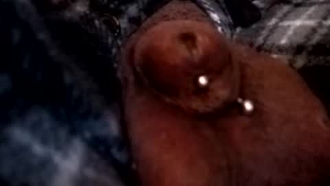 Snapshot of bcfalcon69 chatting on 5, 3, 2026 bcfalcon69 online show from 5, 3, 2026