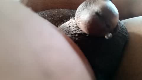 bcfalcon69 online show from 7, 6, 2026