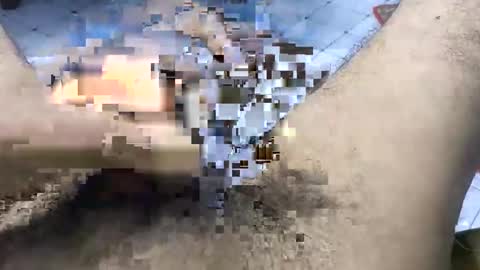 bd_sam_69 online show from 2, 11, 2025