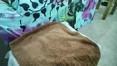 mikiforfun online show from 6, 5, 2026