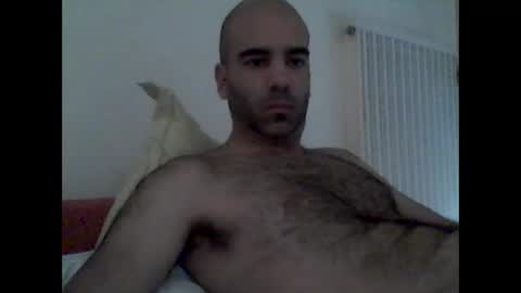 bear14250949 online show from 19, 10, 2025