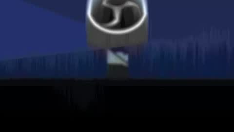 bear online show from 11, 1, 2026