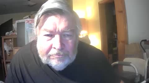 bear online show from 30, 4, 2026