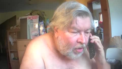 bear online show from 30, 4, 2026