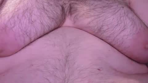 bear_man_oi online show from 24, 3, 2026