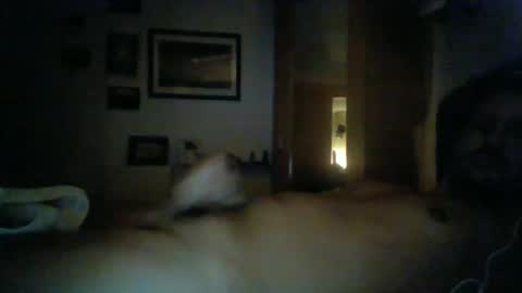 bearboudior online show from 16, 2, 2025